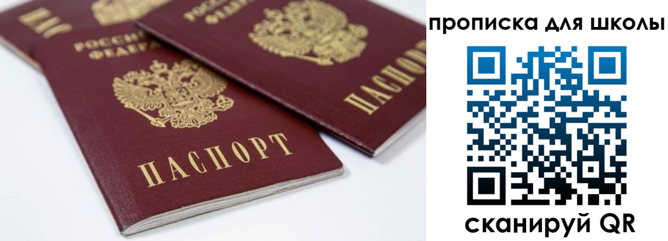 временная регистрация гарантия в Тольятти